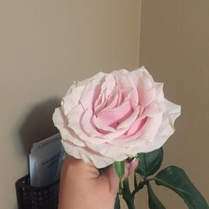 Meet your Posher, Ariuntsatsral